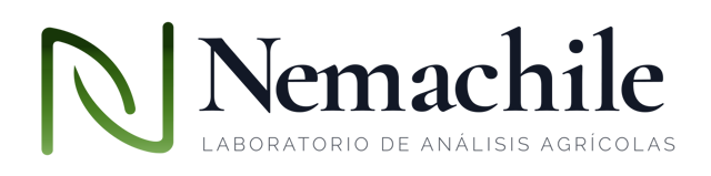 Nemachile